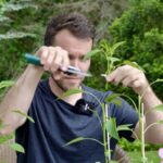 Co říkají profesionální zahradníci: nikdy neříhujte papřík v tomhle čase