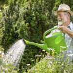 Co říkají profesionální pestitelé o zálivce studenou vodou – překvapivá odpověď