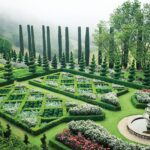 Co vám řekne opravdový vinař o pěstování révy na zahrádce