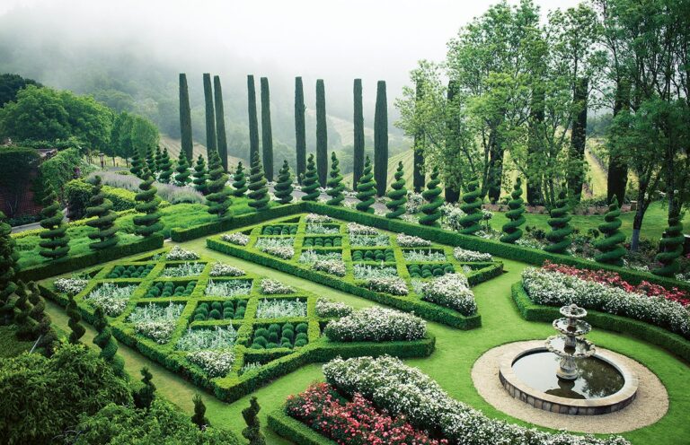 Co vám řekne opravdový vinař o pěstování révy na zahrádce