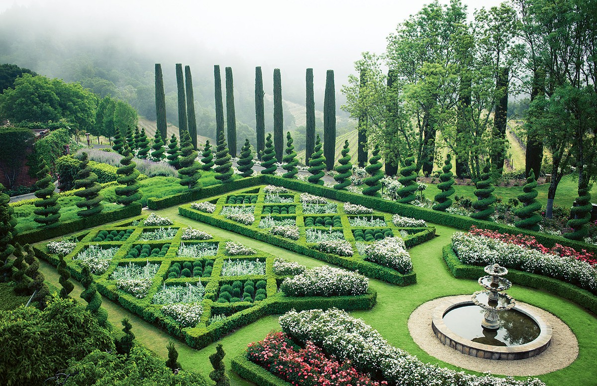 Co vám řekne opravdový vinař o pěstování révy na zahrádce