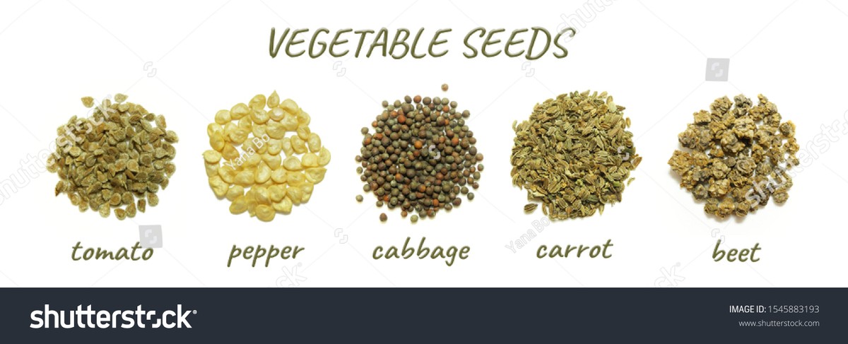 Co vám skrývají prodejci osiva o správné hloubce sázení - image 2