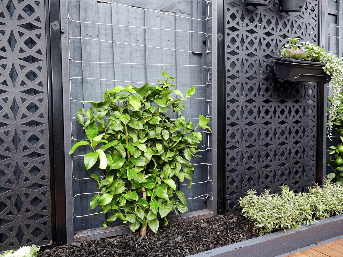 Drátěnka na rajčatech funguje úplně jinak, než si myslíte - image 1