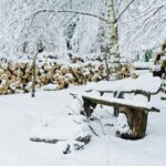 Fengshuistka prozradila - jak zapůsobit energií na zahradu v prosinci