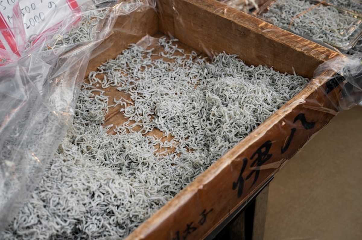 Jak připravit zahradu na zimu: trik, který znají jen zkušení zahradníci - image 2