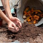 Jak správně připravit kompost na zimu. Tipy zahradníka