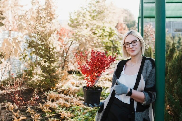 Jak správně připravit zahradu na zimu - průvodce pro začátečníky