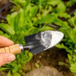 Jedlá soda ve sprayi na zem: nejlevnější herbicid, který funguje