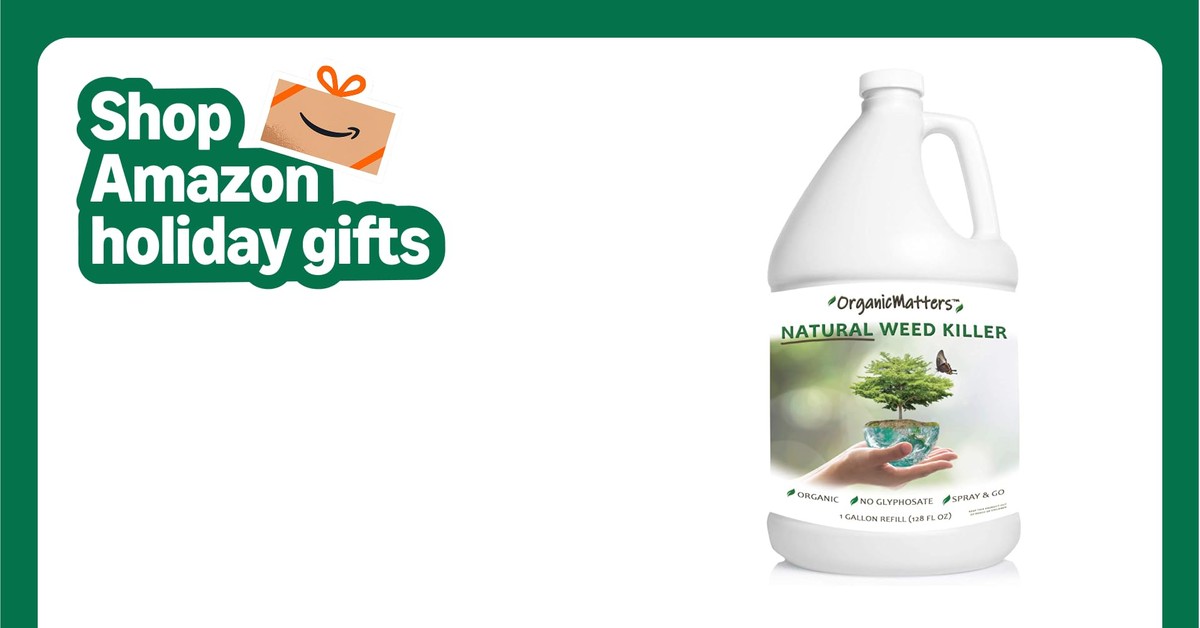 Jedlá soda ve sprayi na zem: nejlevnější herbicid, který funguje - image 2