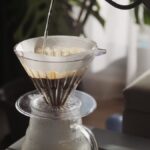 Kávový filtr místo zálivky: jednoduchý trik pro vaše pokojovky