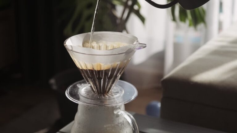 Kávový filtr místo zálivky: jednoduchý trik pro vaše pokojovky