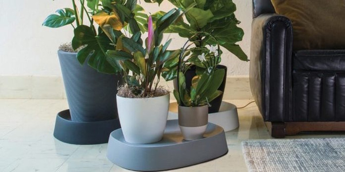 Kávový filtr pod květináčem změní váš způsob zalévání na věky - image 2