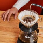 Kávový filtr v květináči? Proč zahradníci skrývají tento trik před sousedy