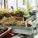 Kompostování bez zápachu: trik, který funguje i na malém balkoně