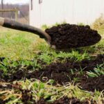 Krajinář zjevuje: proč vaši trávník nekvete bez jedné jednoduché věci