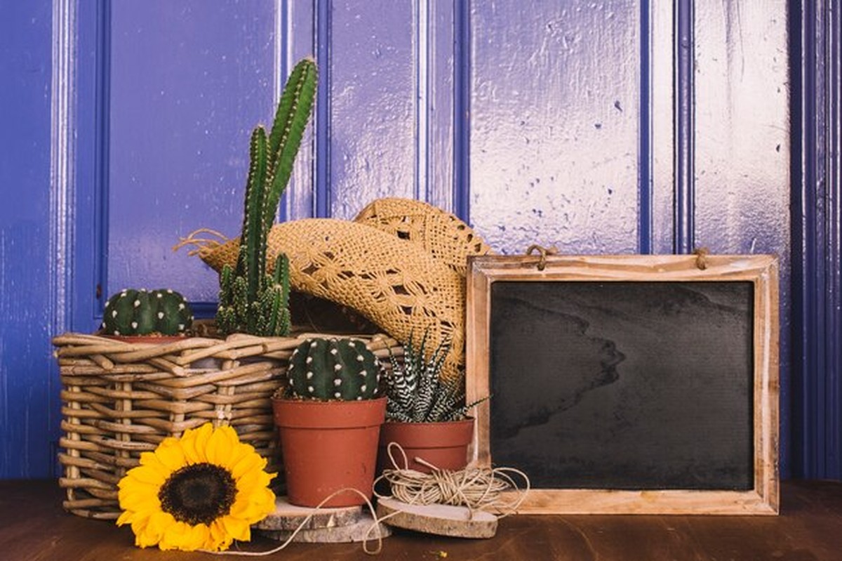 Květináče po domě? Zkuste ten starý jinak – překvapí vás to - image 1