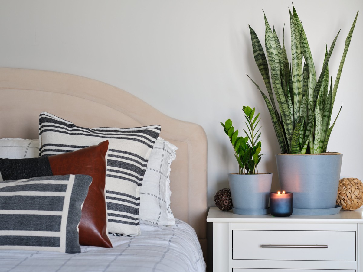 Květináři přiznávají: nikdy nekupujte rostliny v tomto ročním období - image 1