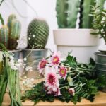 Květiny podle feng-šueje - která rostlina přitáhne do vašeho bytu štěstí