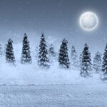 Lunární kalendář v zimě: kdy skutečně sázet místo sázení "na slepou"