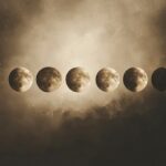 Měsíční fáze a sázení: má to opravdu smysl