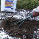 Mouka v květináči bránící škůdcům? Testované řešení ze 30. let