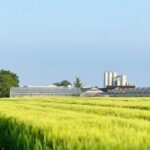 Nealcoholické pivo na květiny: co znají květináči, co neví novináři