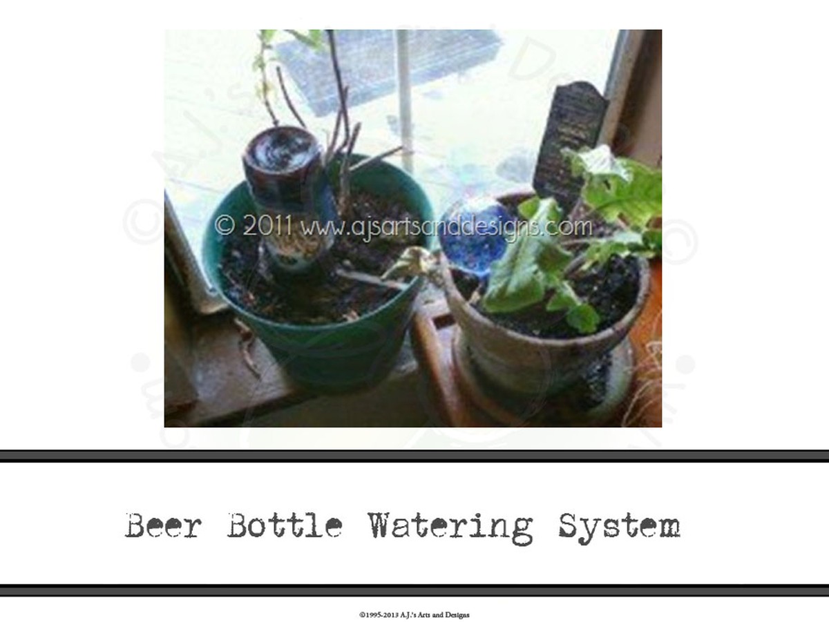 Nealcoholické pivo na květiny: co znají květináči, co neví novináři - image 1