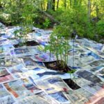 Novinový papír v květináčích? Záhrada vám za to poděkuje třikrát více