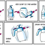 Ocet a mýdlo na listech: domácí sprej, který botanici milují a chemické firmy nenávidí