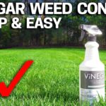 Ocet a sprašovací láhev v trávníku? Jak funguje tento starý trukk češtinářů