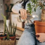 Odborník: Péče o rostliny uzdravuje lépe než léky