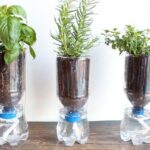 Papírová utěrka v květináči? Zavlažování zahrady bez starostí na týden