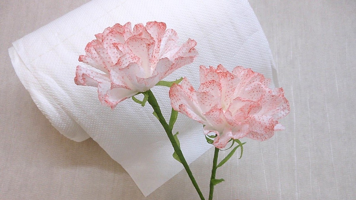 Papírové utěrky pod květináče: jednoduchý trik proti plísním na parapetu - image 2