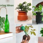 Plastové lahve jako domácí kapáč: Jak zavlažovat bez счётčика