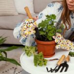 Po padesátce: kterou bylinku si vypěstovat doma