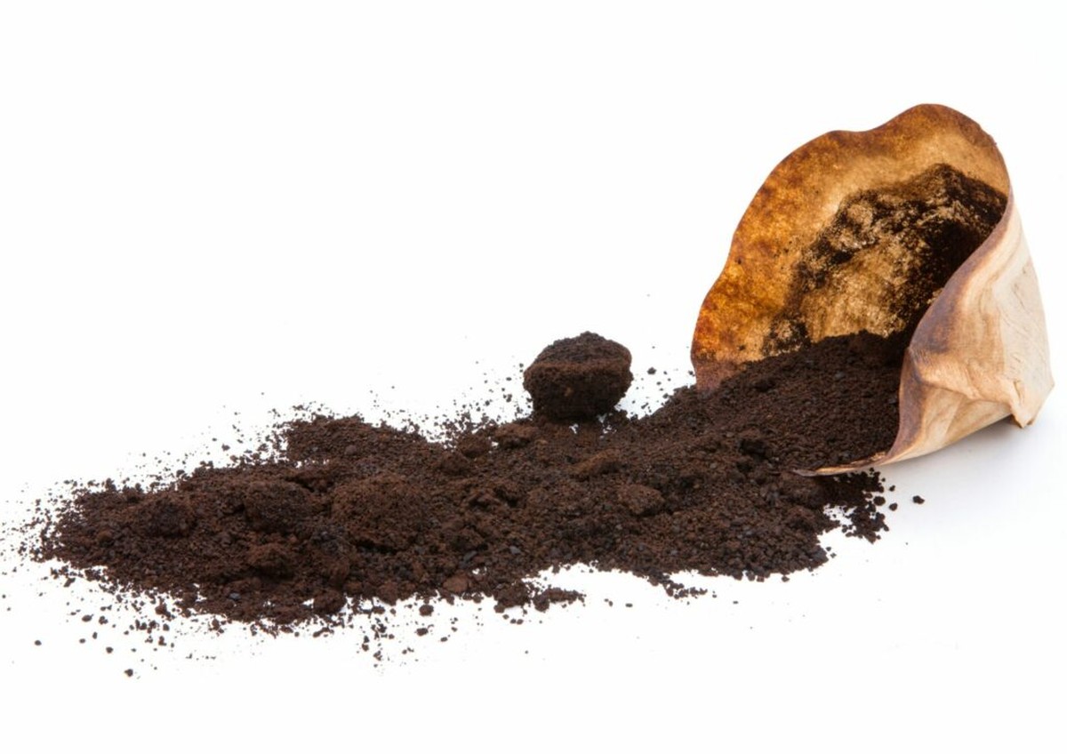 Použitý kávovýfiltr v půdě: Zemědělci tají tento původní hnojivý systém - image 2