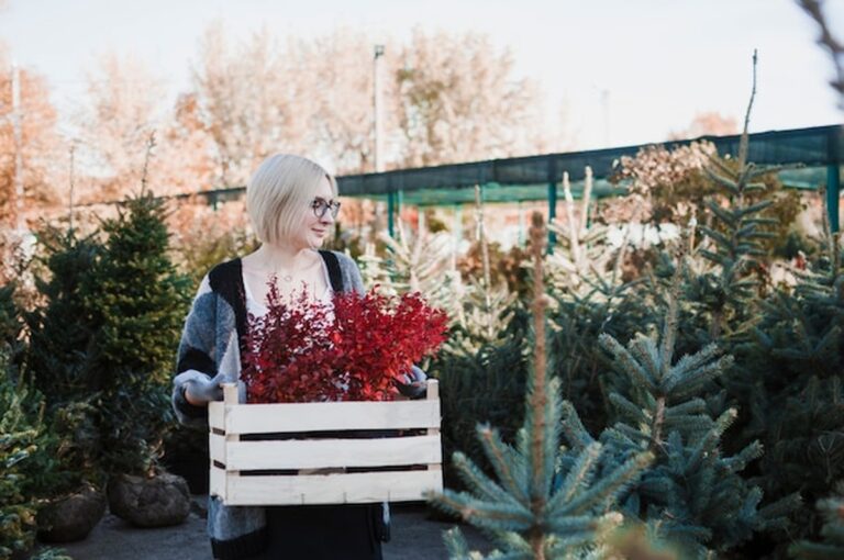 Příprava zahrady na zimu — plán na jeden víkend
