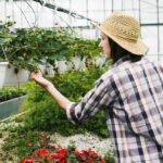 Příprava zahrady na jaro začíná v prosinci: plán pro začátečníky