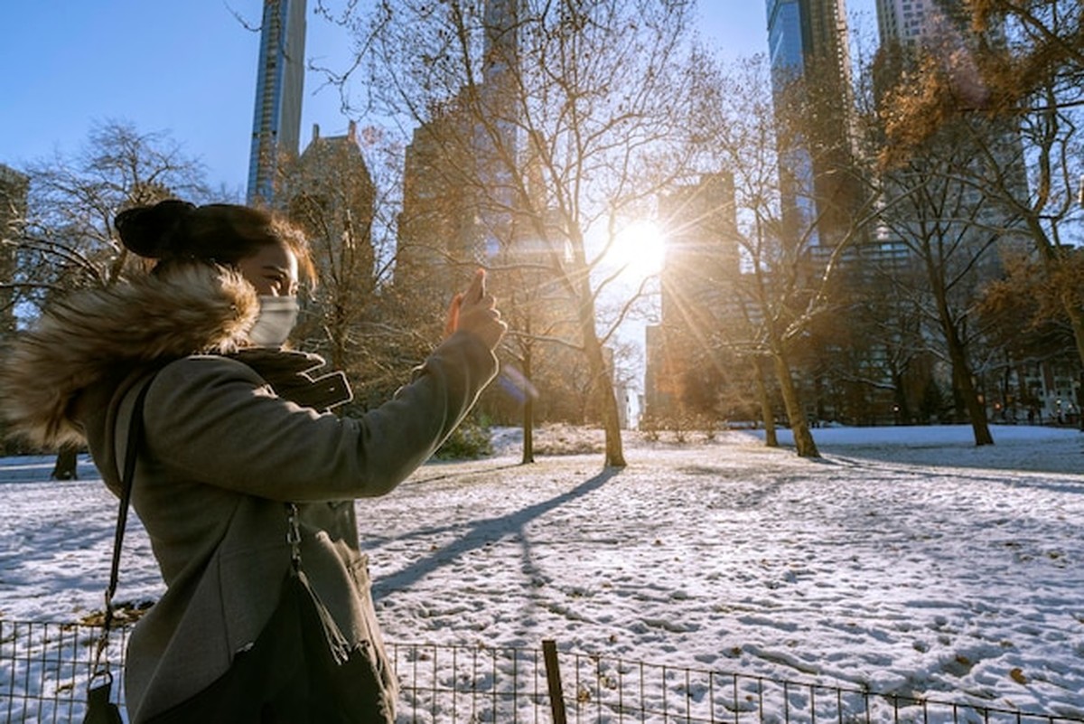 Příprava zahrady na zimu — plán na jeden víkend - image 2