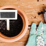 Připravujete záhon špatně? Zkuste toto místo tradičního způsobu