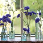 Proč zemědělci přidávají ocet do zálivky: tajemství květinářů