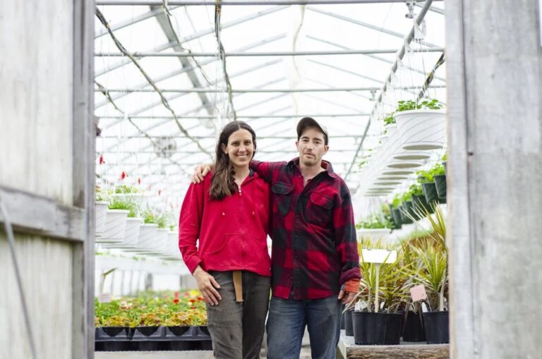 Proč zemědělci vždycky přidávají med do půdy na jaře