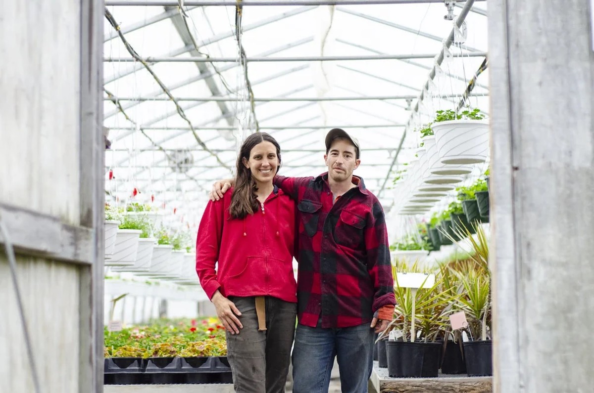 Proč zemědělci vždycky přidávají med do půdy na jaře