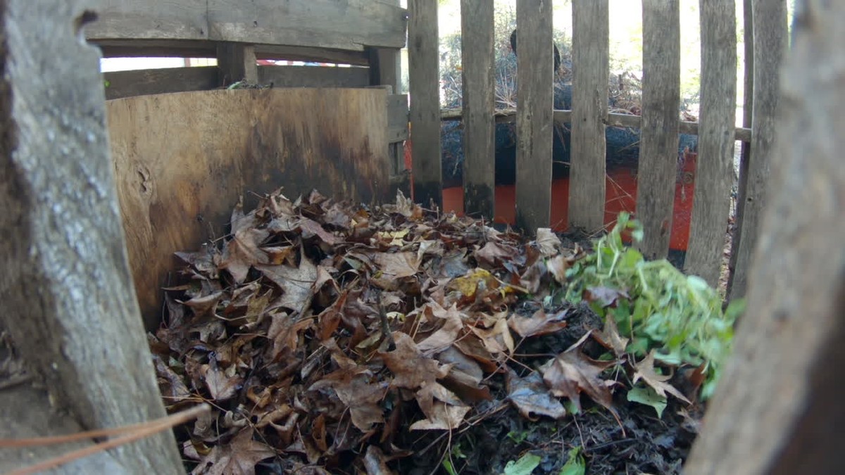 Půda na zimu bez chemie: Lístkový trik, který čeští zahradníci skrývali - image 1