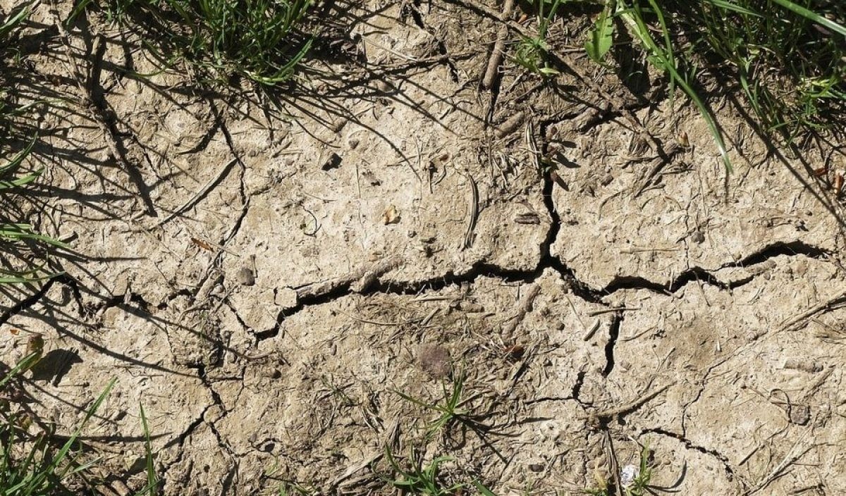 Půllitr sody spojené s octem: Jak rozvolnit zaprahlou půdu za minutu - image 2