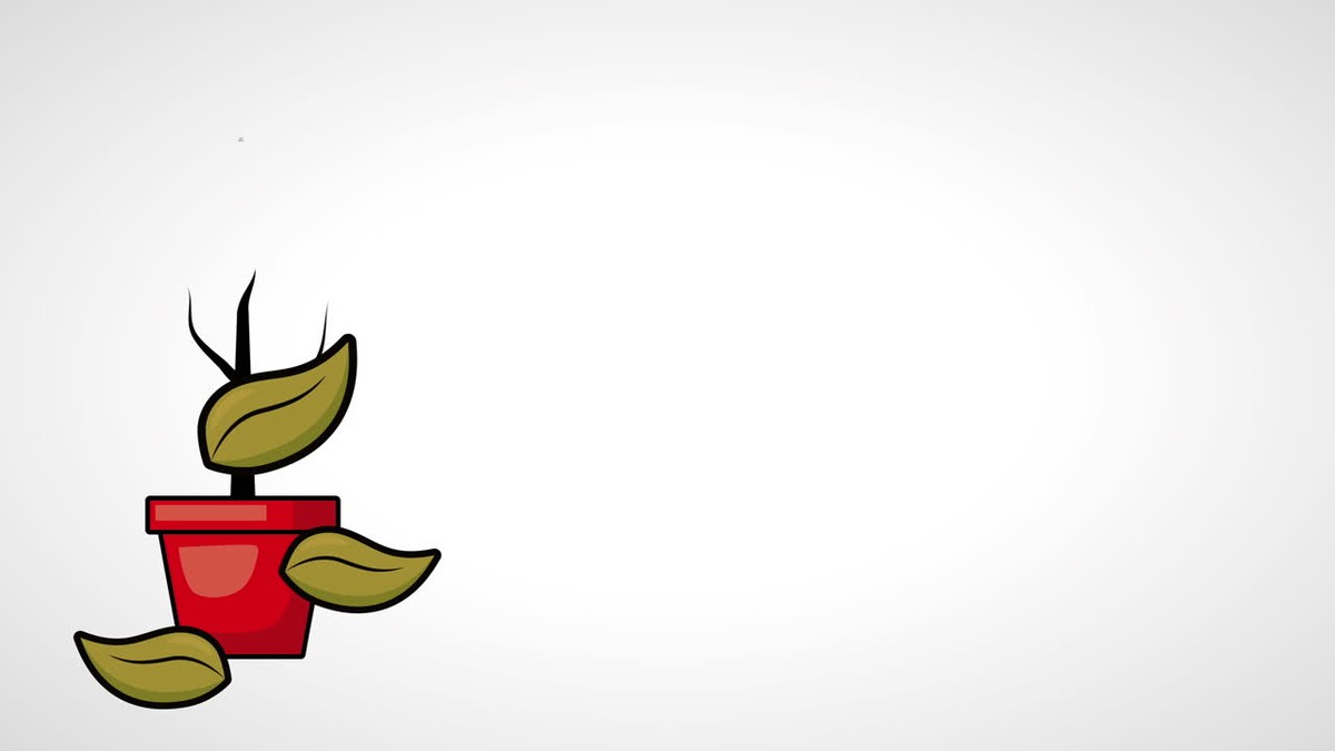 Rostliny umírají? Zjistěte, jakou chybu dělají všichni - image 1