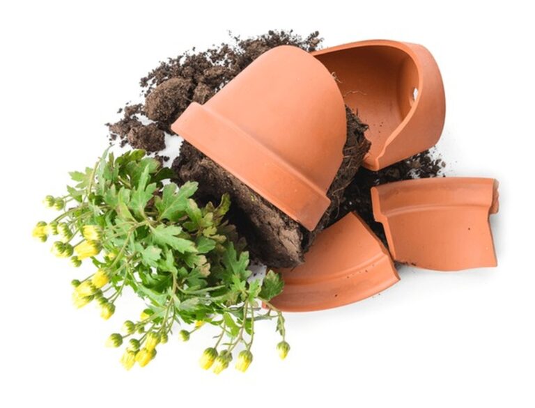 Rozbitý květináč? Neměj soucit: lepší věc se s ním nestane
