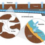 Skořice na dně kompostu: jak zastavit pachy za 20 korun