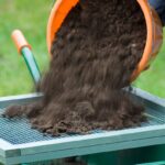 Staré punčochy jako záhradnické sito: trik, který šetří peníze i čas