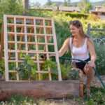 Staré punčochy naplněné pískem: zahradnický trik proti mravencům